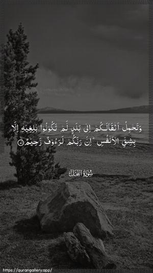 An-Nahl Ayah 7 - Arabic wallpaper