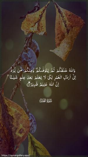 An-Nahl Ayah 70 - Arabic wallpaper