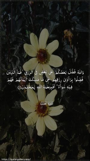 An-Nahl Ayah 71 - Arabic wallpaper