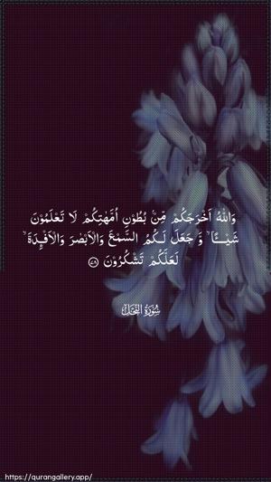An-Nahl Ayah 78 - Arabic wallpaper