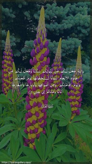 An-Nahl Ayah 80 - Arabic wallpaper