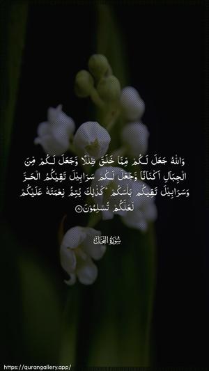 An-Nahl Ayah 81 - Arabic wallpaper