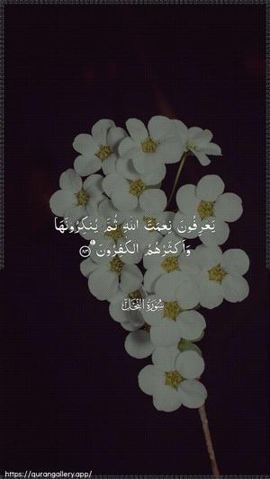 An-Nahl Ayah 83 - Arabic wallpaper