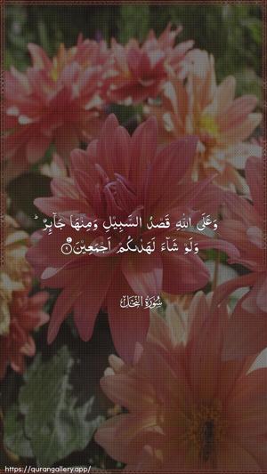 An-Nahl Ayah 9 - Arabic wallpaper