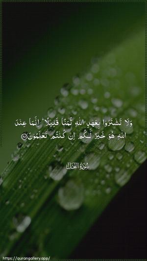 An-Nahl Ayah 95 - Arabic wallpaper