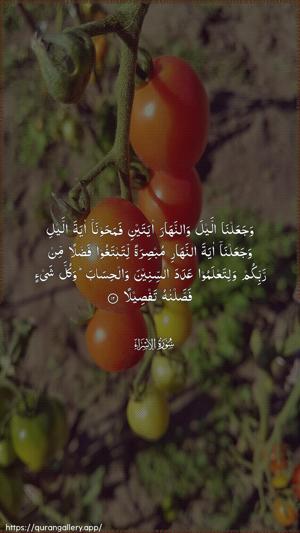 Al-Israa Ayah 12 - Arabic wallpaper