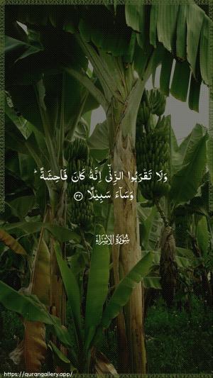 Al-Israa Ayah 32 - Arabic wallpaper