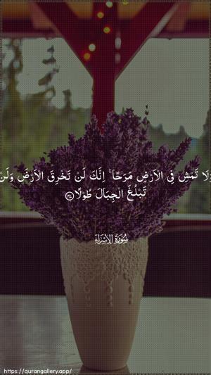 Al-Israa Ayah 37 - Arabic wallpaper