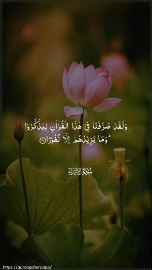 Al-Israa Ayah 41 - Arabic wallpaper