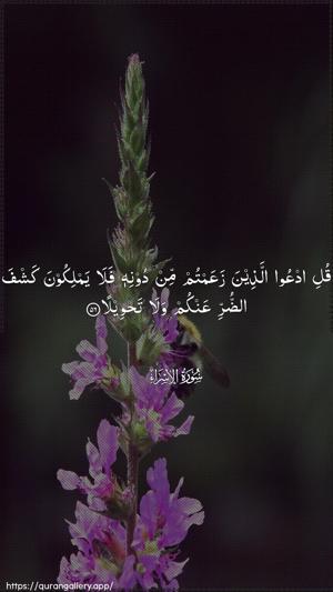 Al-Israa Ayah 56 - Arabic wallpaper