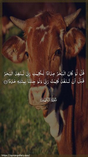 Al-Kahf Ayah 109 - Arabic wallpaper