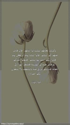 Al-Kahf Ayah 19 - Arabic wallpaper