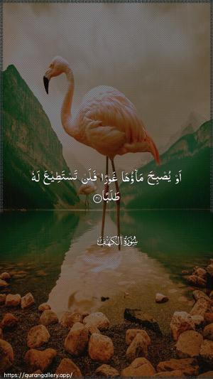 Al-Kahf Ayah 41 - Arabic wallpaper