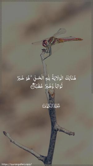 Al-Kahf Ayah 44 - Arabic wallpaper
