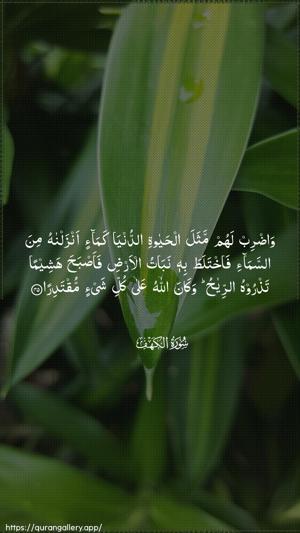 Al-Kahf Ayah 45 - Arabic wallpaper