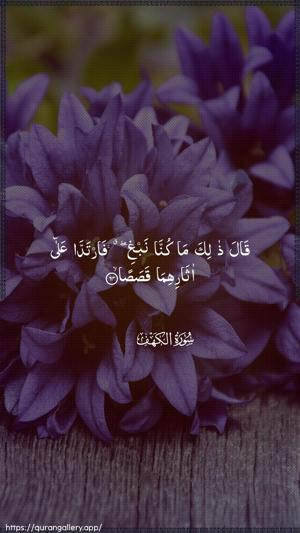 Al-Kahf Ayah 64 - Arabic wallpaper