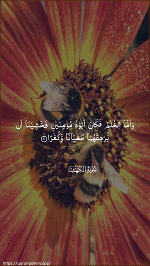 Al-Kahf Ayah 80 - Arabic wallpaper