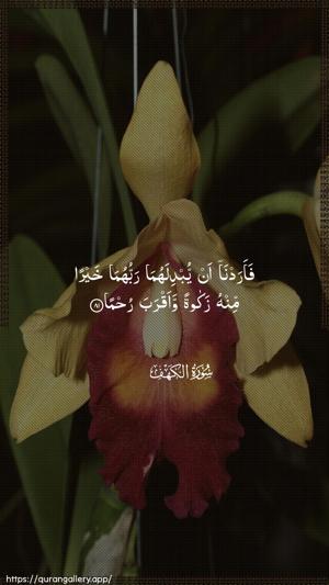Al-Kahf Ayah 81 - Arabic wallpaper