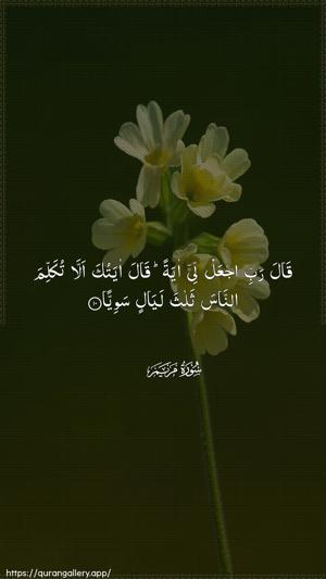 Maryam Ayah 10 - Arabic wallpaper