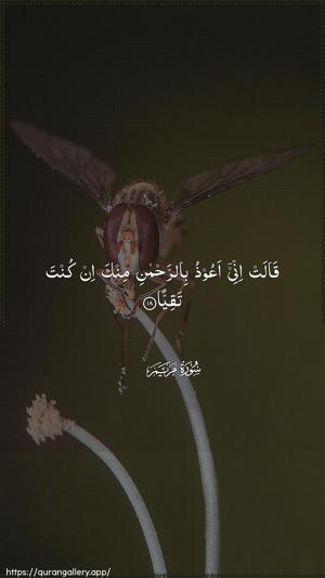 Maryam Ayah 18 - Arabic wallpaper
