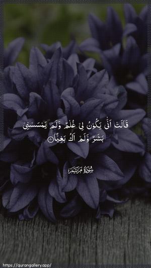 Maryam Ayah 20 - Arabic wallpaper