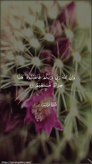 Maryam Ayah 36 - Arabic wallpaper