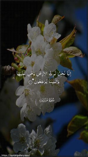 Maryam Ayah 40 - Arabic wallpaper