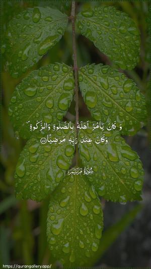 Maryam Ayah 55 - Arabic wallpaper