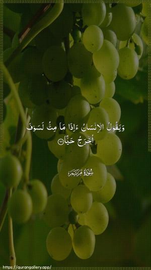 Maryam Ayah 66 - Arabic wallpaper