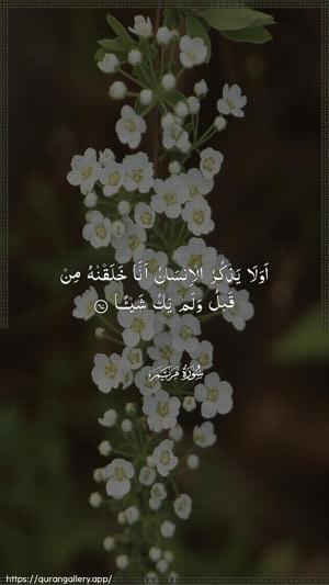 Maryam Ayah 67 - Arabic wallpaper