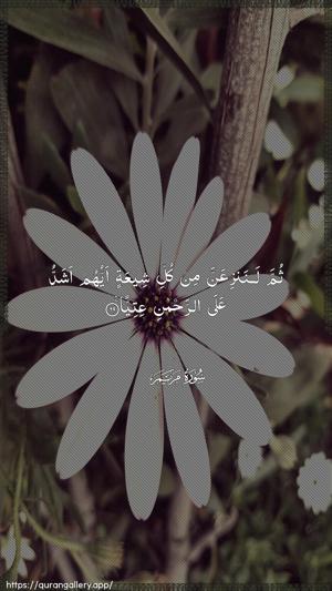 Maryam Ayah 69 - Arabic wallpaper