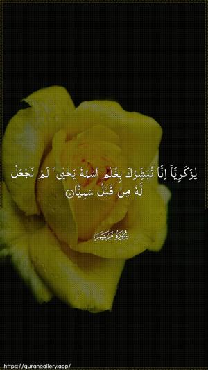 Maryam Ayah 7 - Arabic wallpaper