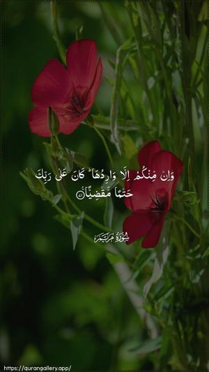 Maryam Ayah 71 - Arabic wallpaper