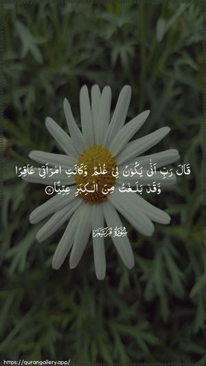Maryam Ayah 8 - Arabic wallpaper