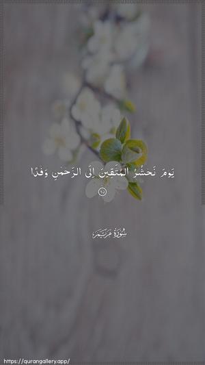 Maryam Ayah 85 - Arabic wallpaper