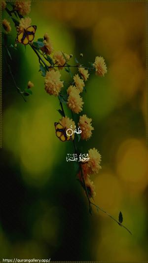 Taa-Haa Ayah 1 - Arabic wallpaper