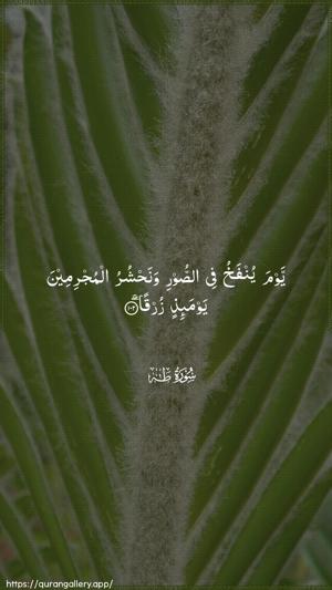 Taa-Haa Ayah 102 - Arabic wallpaper