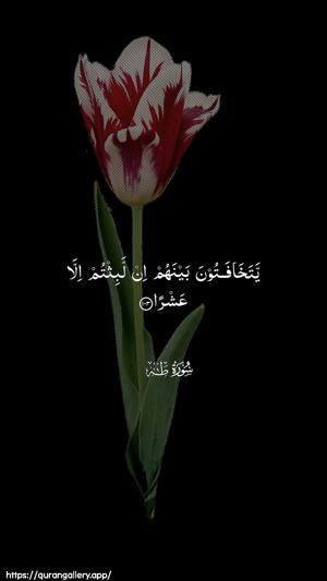 Taa-Haa Ayah 103 - Arabic wallpaper