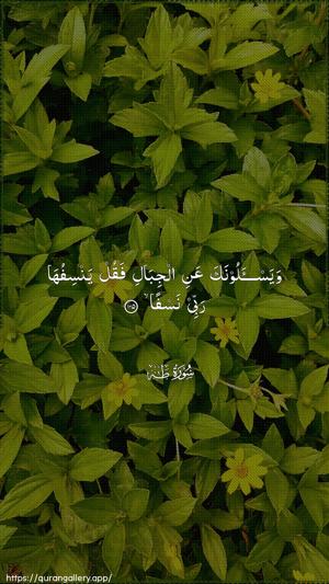 Taa-Haa Ayah 105 - Arabic wallpaper