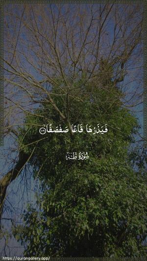 Taa-Haa Ayah 106 - Arabic wallpaper