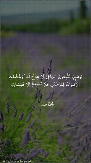 Taa-Haa Ayah 108 - Arabic wallpaper
