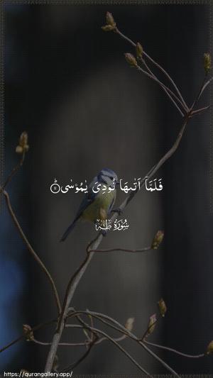 Taa-Haa Ayah 11 - Arabic wallpaper