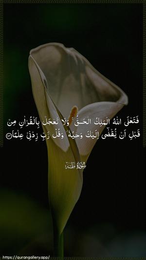 Taa-Haa Ayah 114 - Arabic wallpaper