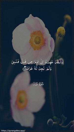 Taa-Haa Ayah 115 - Arabic wallpaper