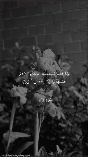 Taa-Haa Ayah 116 - Arabic wallpaper