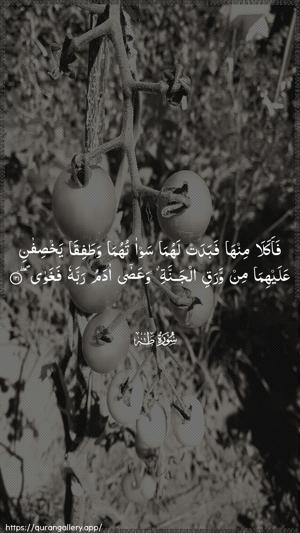 Taa-Haa Ayah 121 - Arabic wallpaper