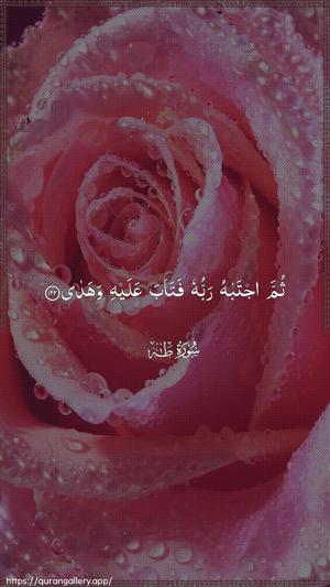 Taa-Haa Ayah 122 - Arabic wallpaper
