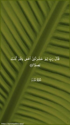 Taa-Haa Ayah 125 - Arabic wallpaper