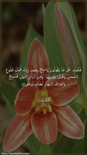 Taa-Haa Ayah 130 - Arabic wallpaper
