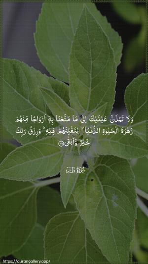 Taa-Haa Ayah 131 - Arabic wallpaper